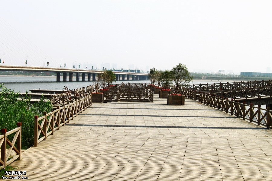 IMG_0187_调整大小.JPG