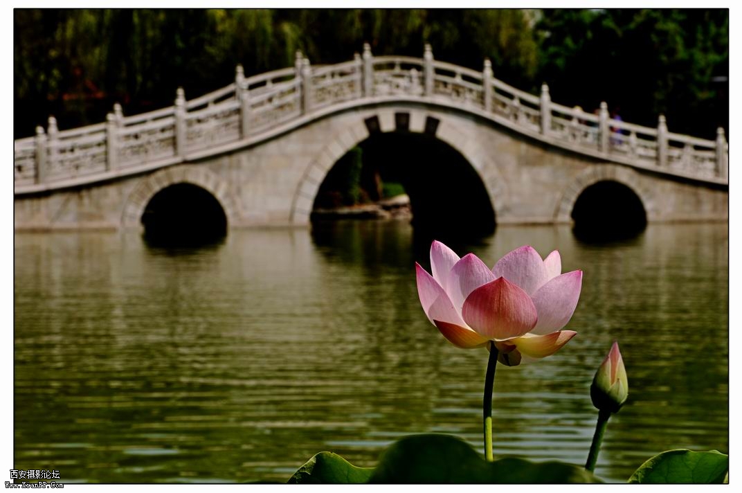 调整大小 DSC_3611.jpg