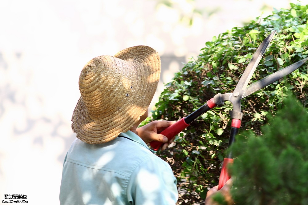 20110627  300mm  开始放假2665_调整大小.JPG