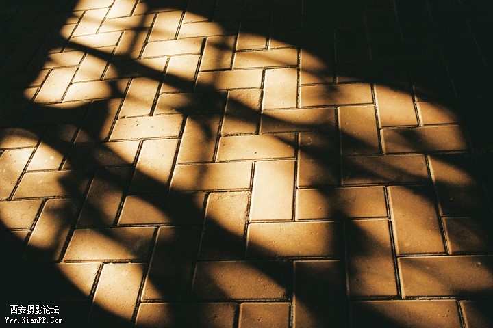 p_large_xsQV_5d1c00054b285c3f.jpg