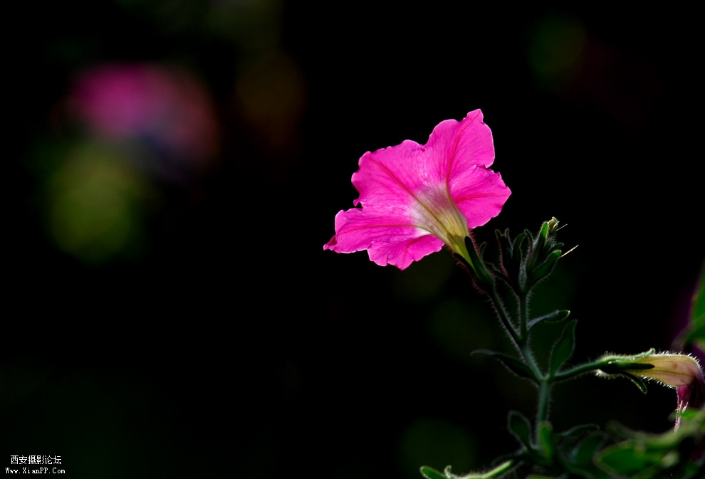 DSC_0089.JPG