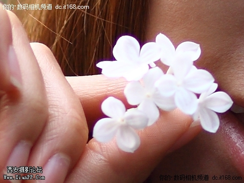 55c019ce-a4f9-4439-83c1-06642b44336e.jpg