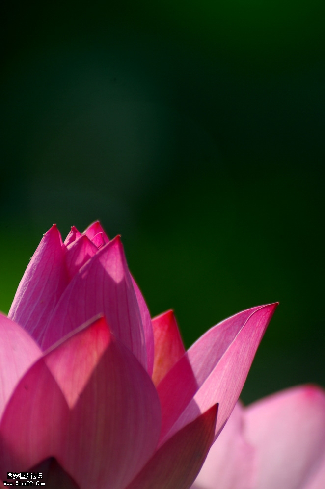 DSC_0064.JPG