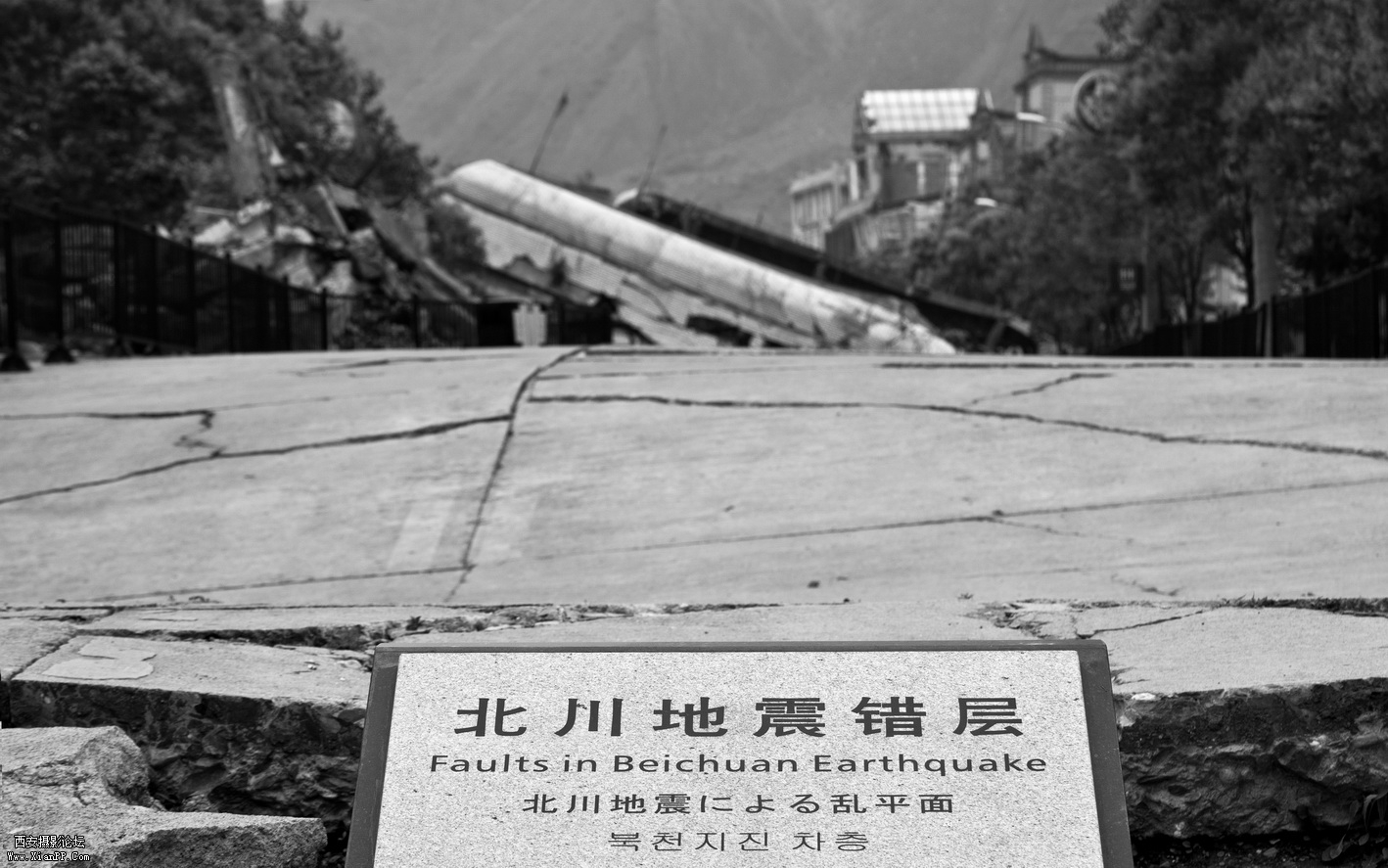 _MG_8462.jpg
