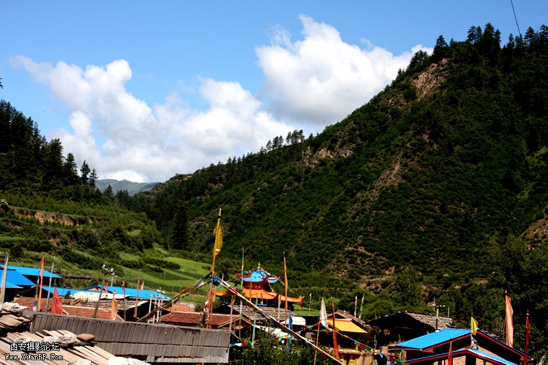 IMG_6862_副本.jpg
