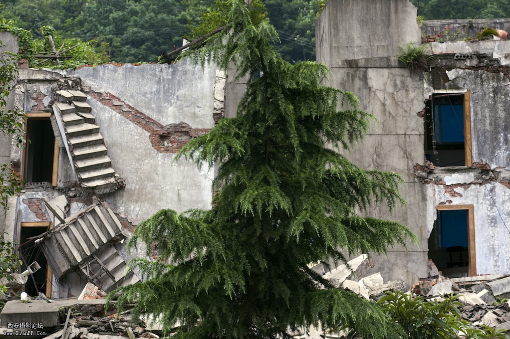 _BYP8612.jpg