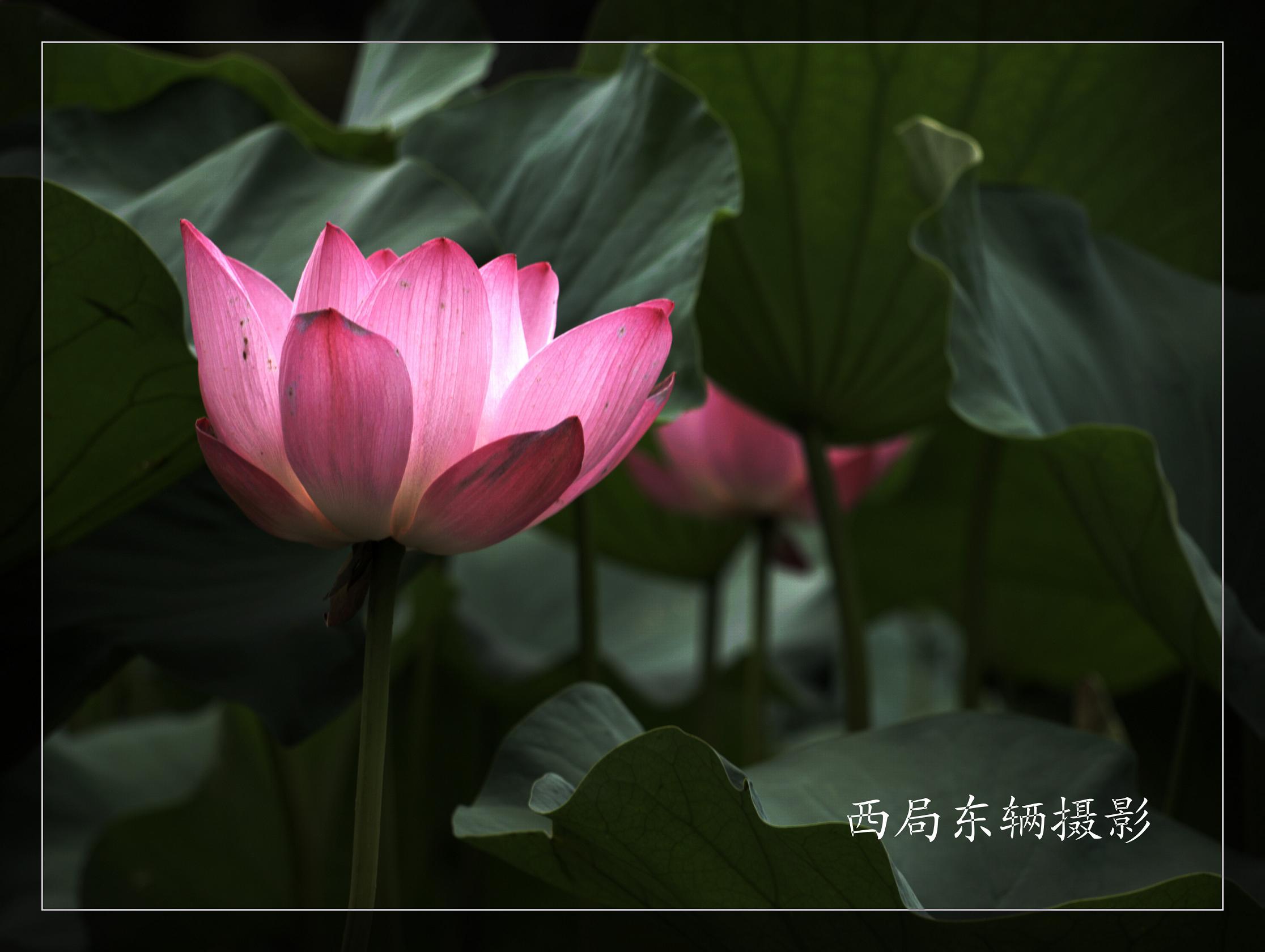 U7116729_副本.jpg