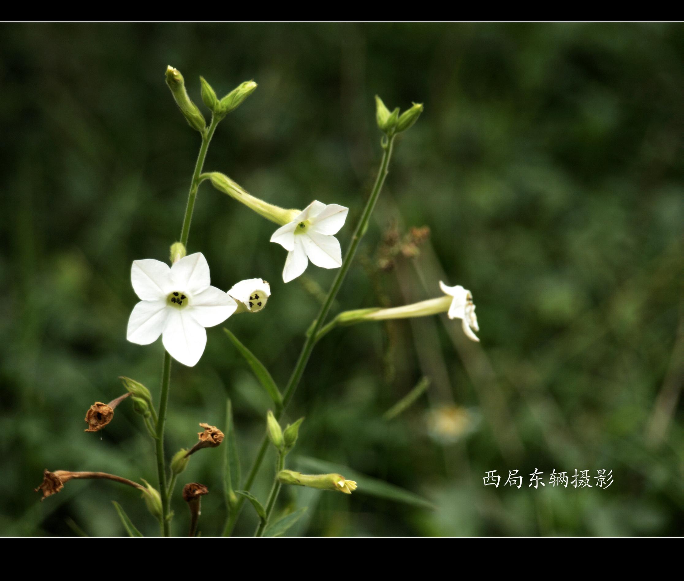 U7116758_副本.jpg