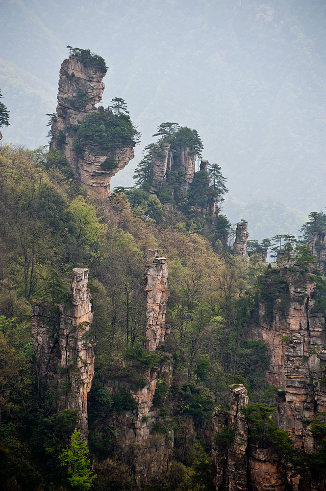 GDX_9804.jpg