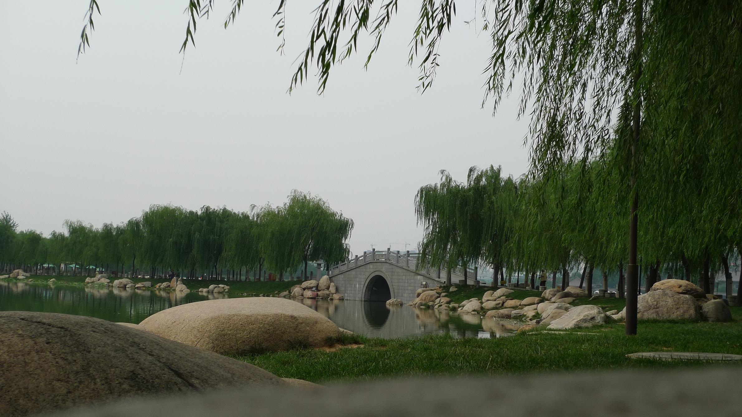 P1040567.JPG