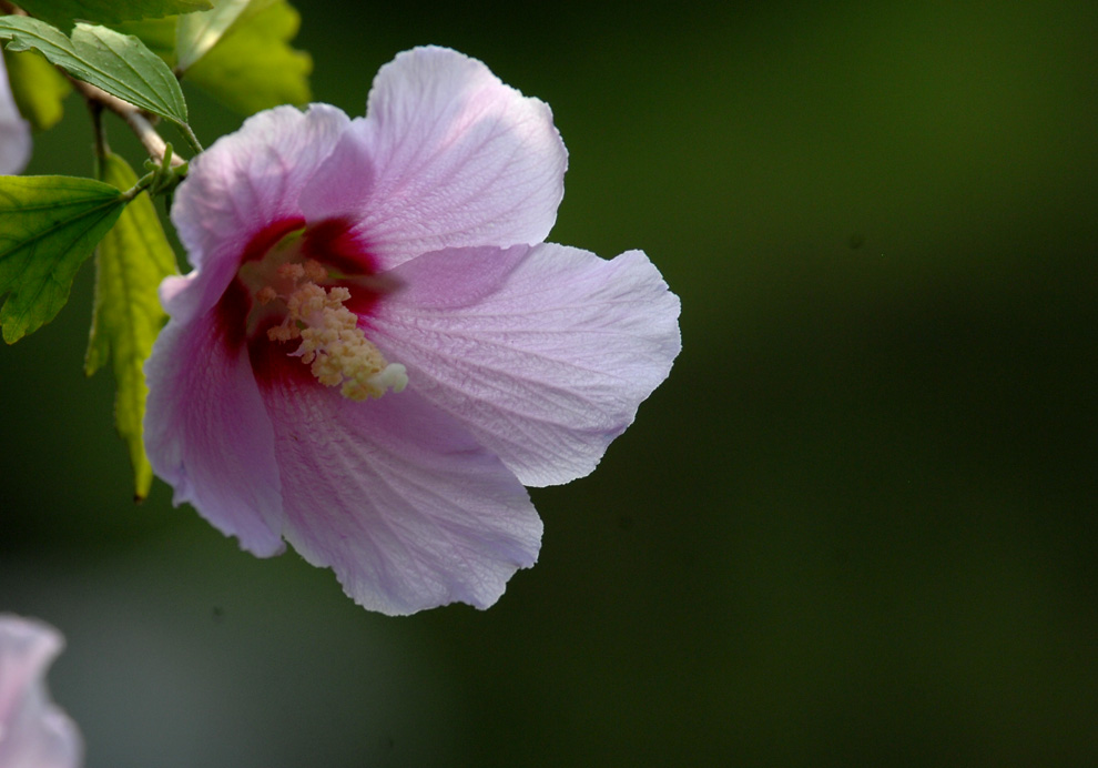DSC_0074.JPG