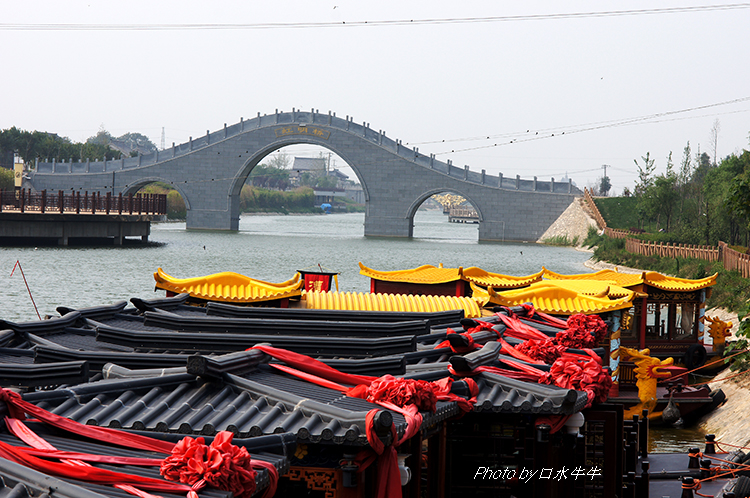 DSC04429-1.jpg