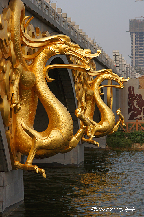 DSC04646-1.jpg