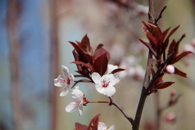IMG_0042_调整大小.jpg