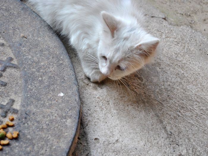 DSC_0146.jpg