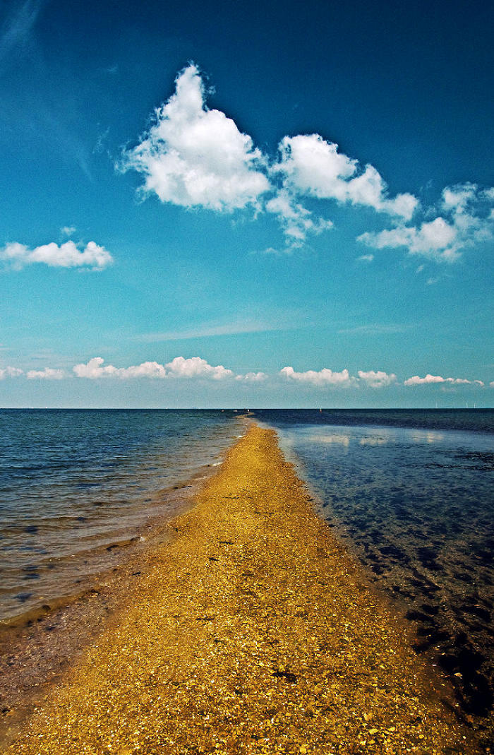 beach1sm.jpg