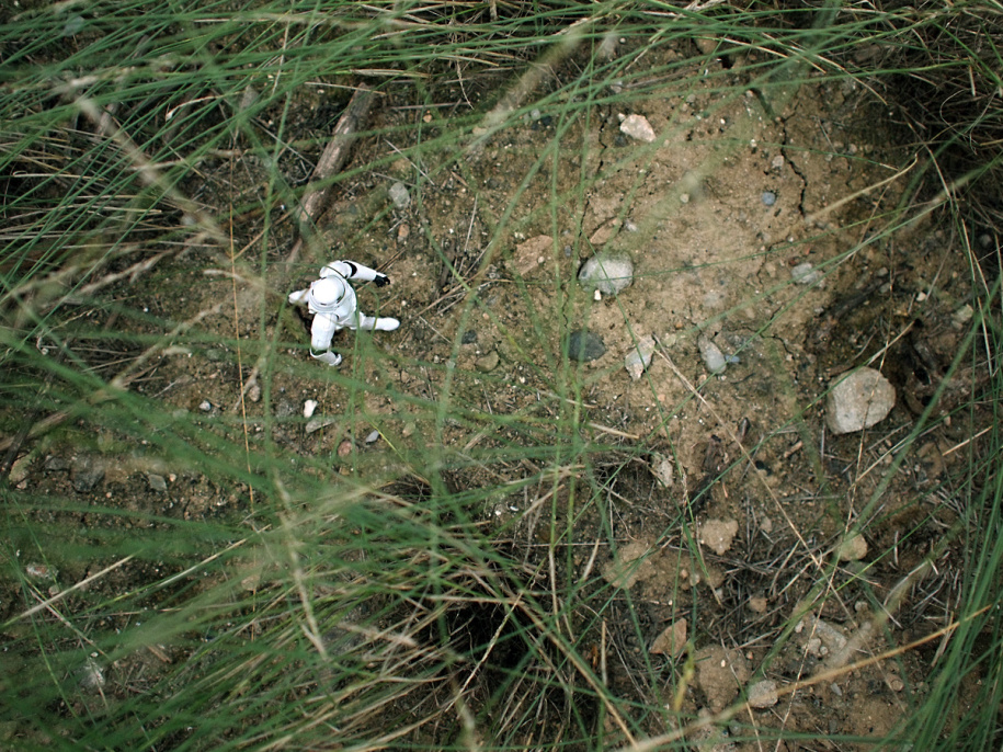 img1_src_3612392.jpg