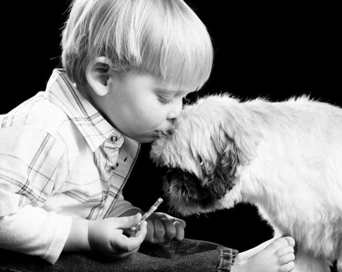 dog_13-673x536.jpg