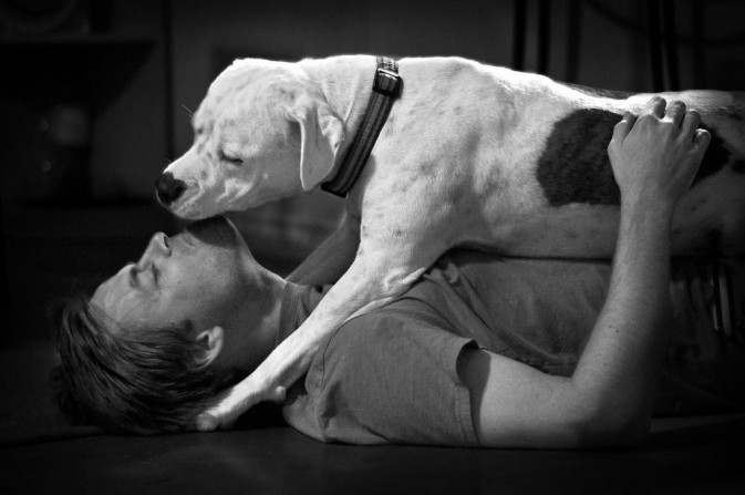 dog_15-673x447.jpg