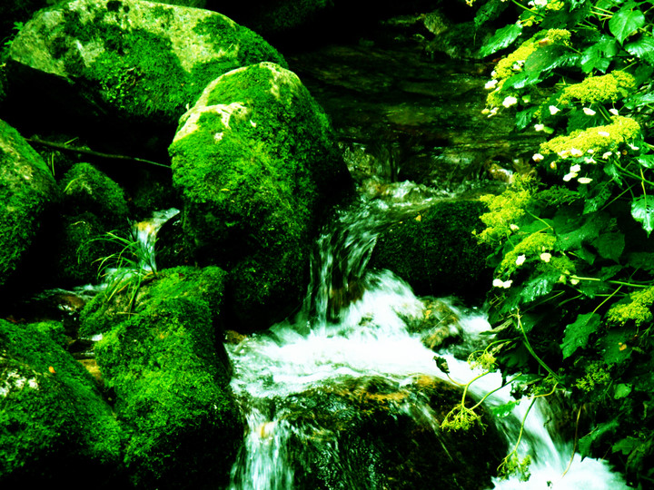 p_large_UcHk_188a0007f02e5c70.jpg