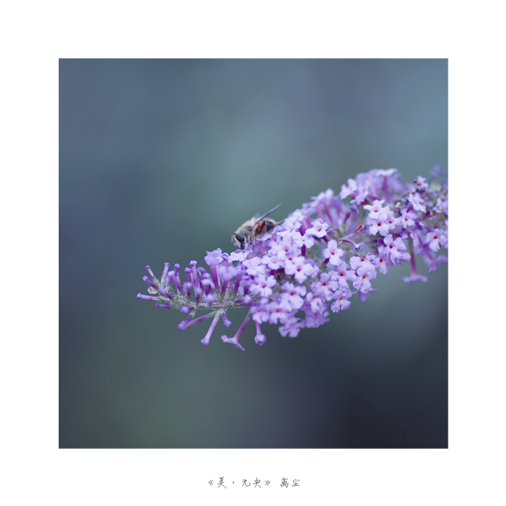 未标题-2.jpg