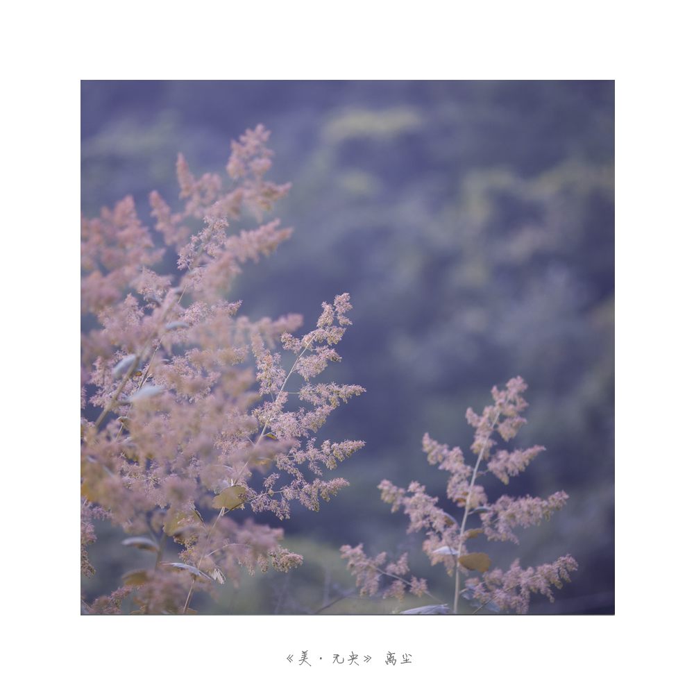 未标题-3.jpg
