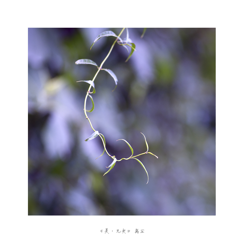 未标题-5.jpg