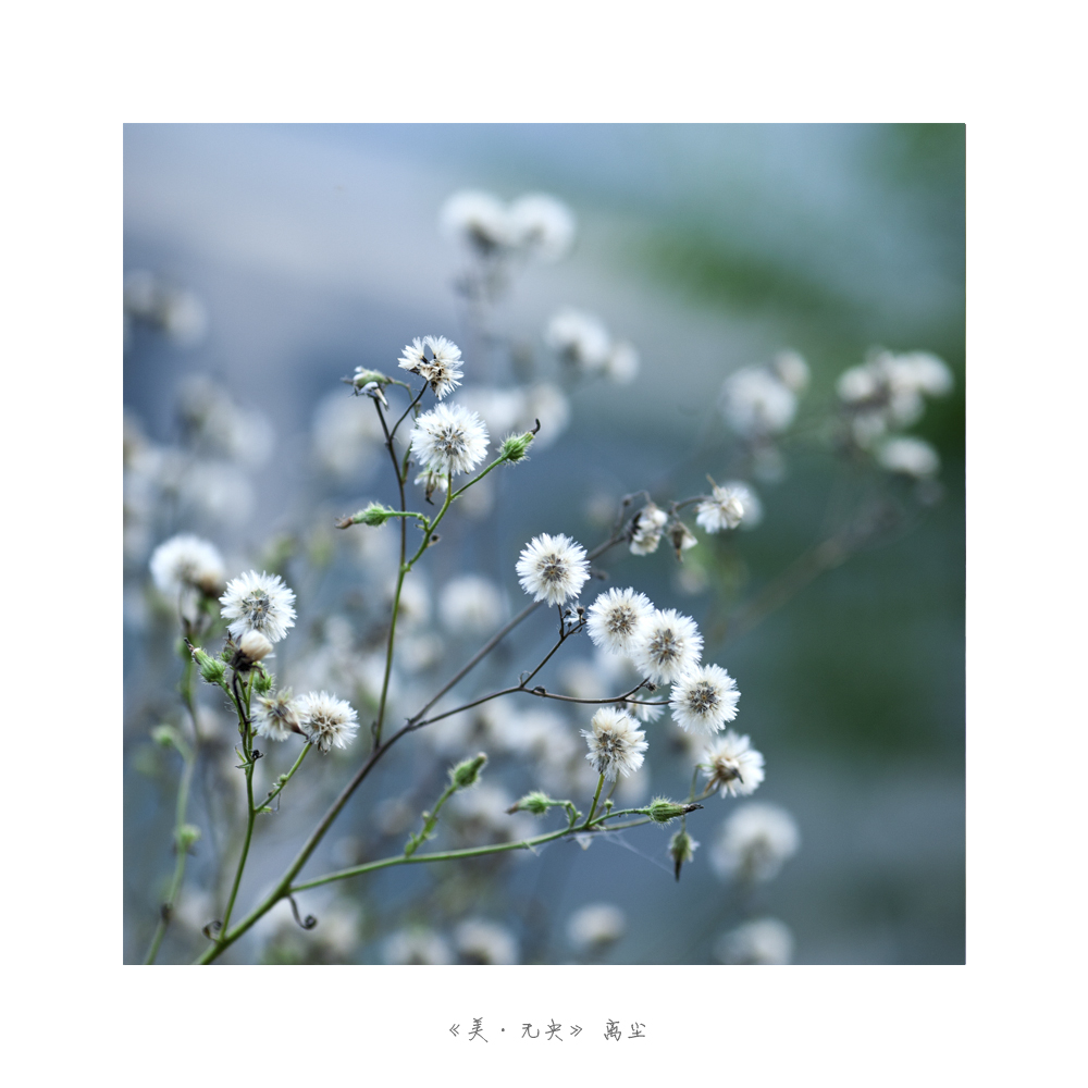 未标题-6.jpg