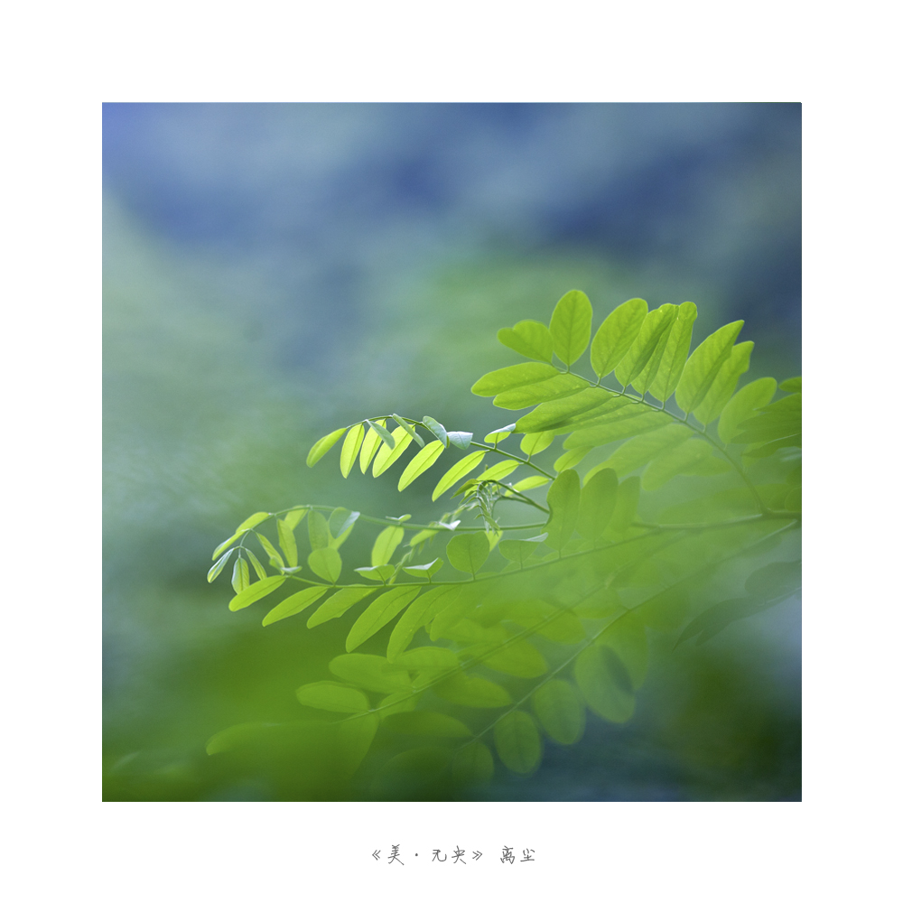 未标题-7.jpg