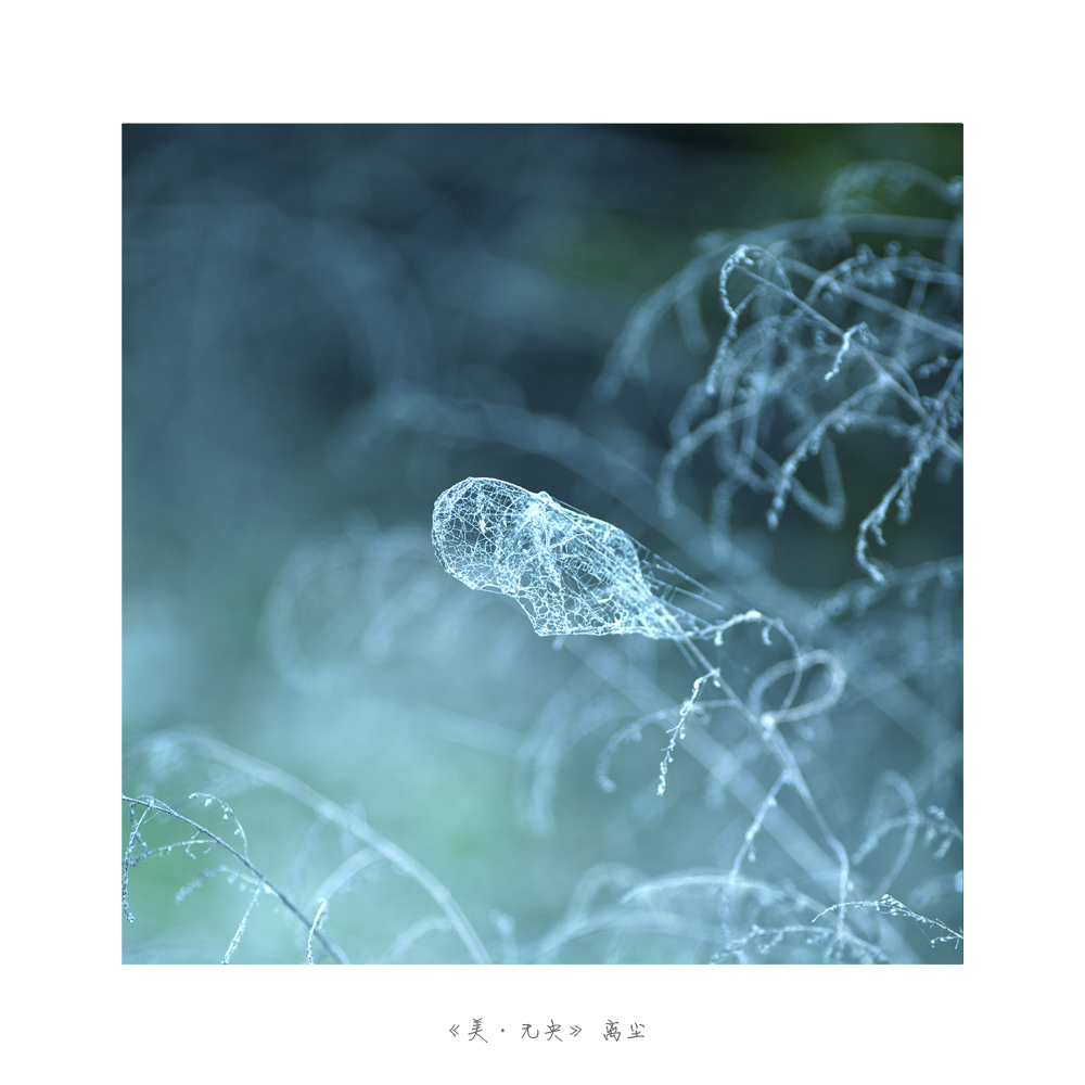 未标题-8.jpg