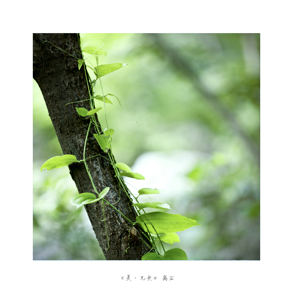 未标题-9.jpg