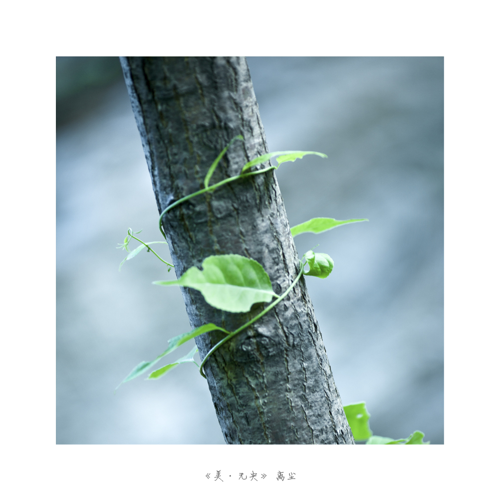 未标题-10.jpg