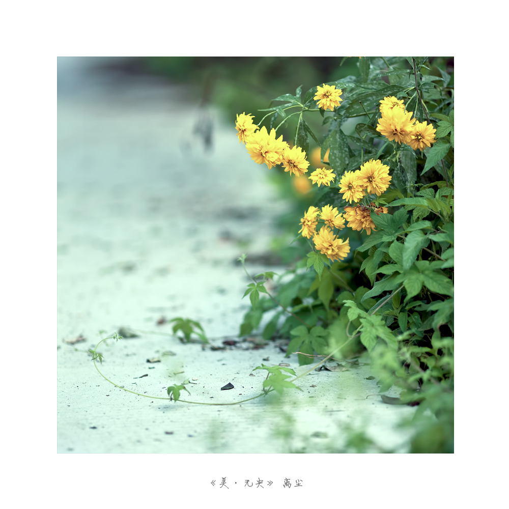 未标题-12.jpg