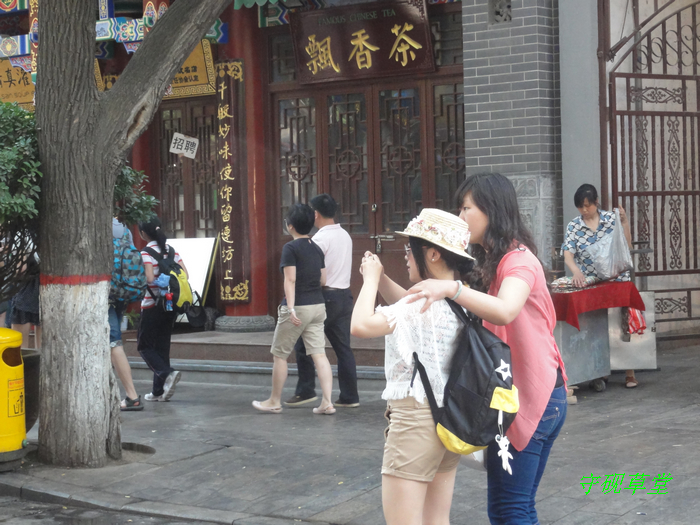 DSC01564.jpg