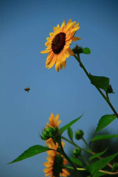 IMG_0044_调整大小.jpg