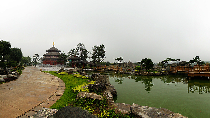 DSC06768.jpg