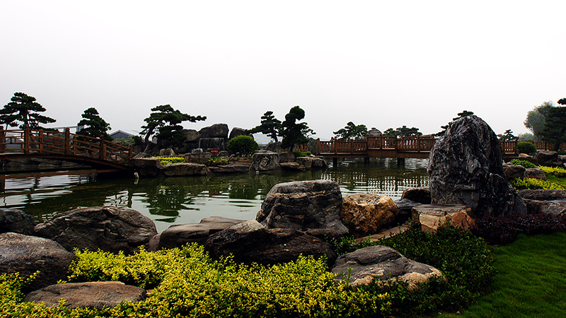 DSC06786.jpg