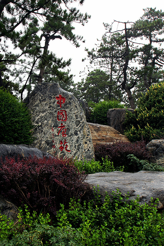 DSC06605.jpg