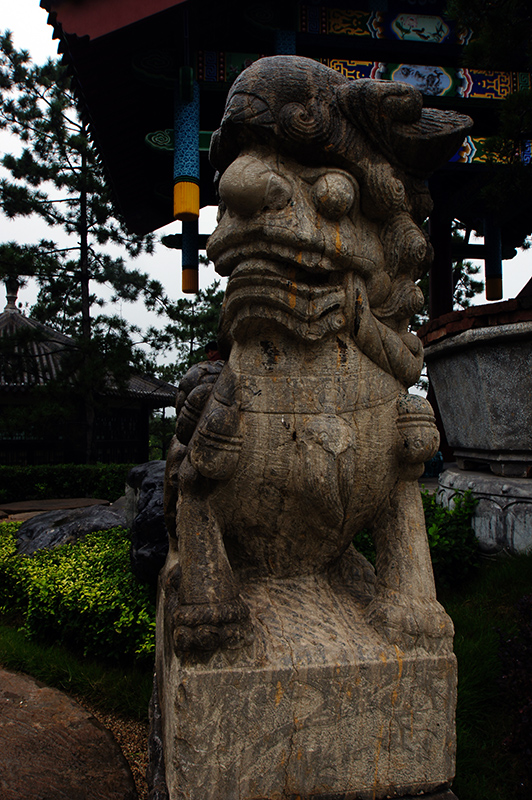 DSC06609.jpg