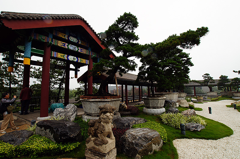 DSC06611.jpg
