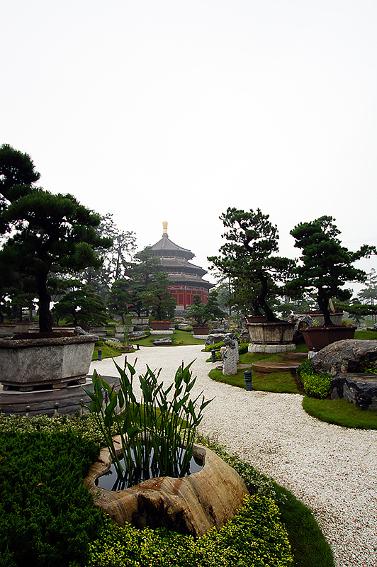 DSC06622.jpg