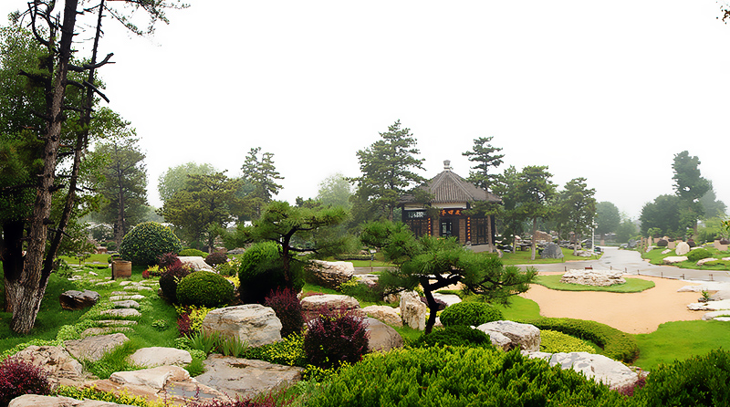 DSC06687.jpg