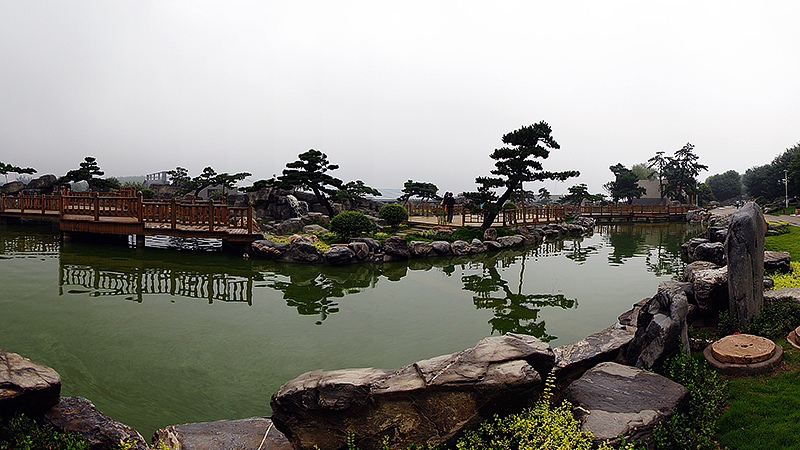 DSC06767.jpg