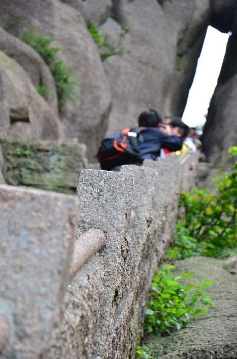 000DSC_1219_019.JPG