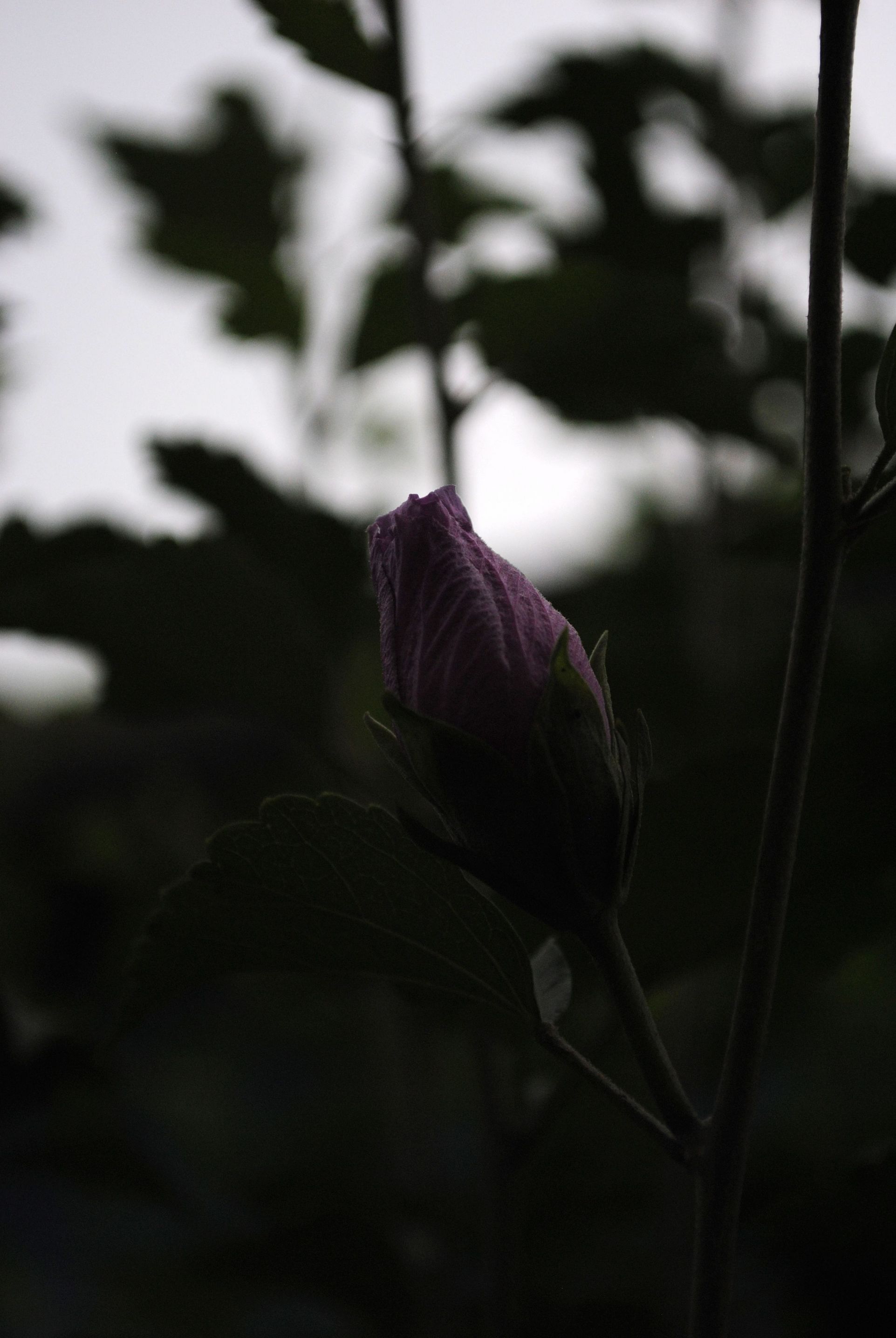 照片 079.jpg