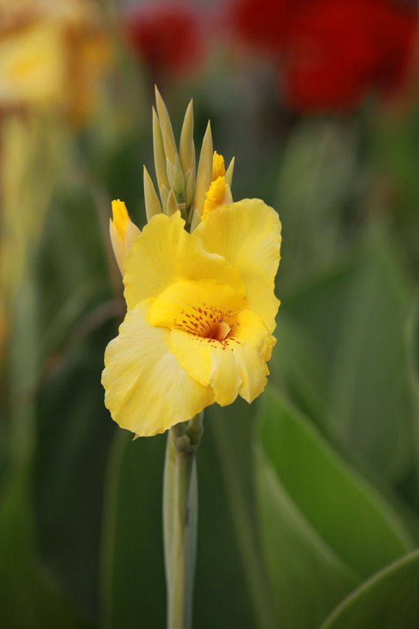 IMG_1052_调整大小.jpg