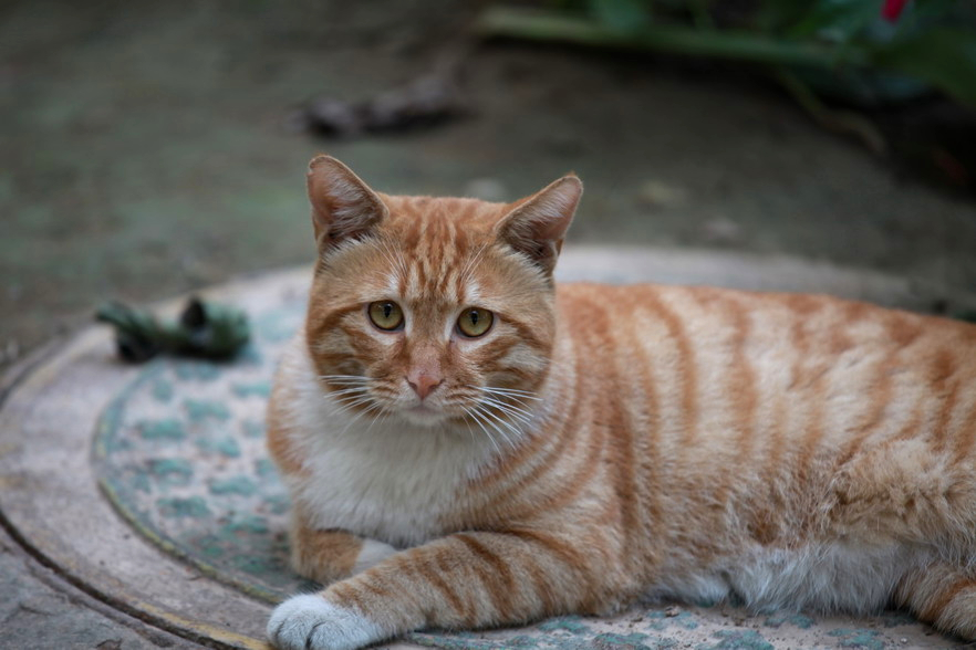 IMG_1073_调整大小.jpg