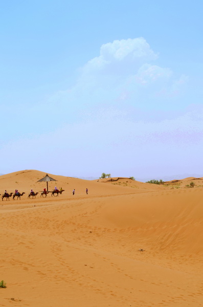 DSC_0125_调整大小.jpg