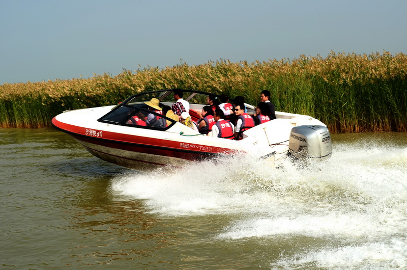 DSC_0233_调整大小.JPG