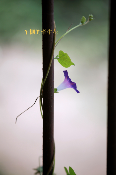 nEO_IMG_IMG_1181.jpg